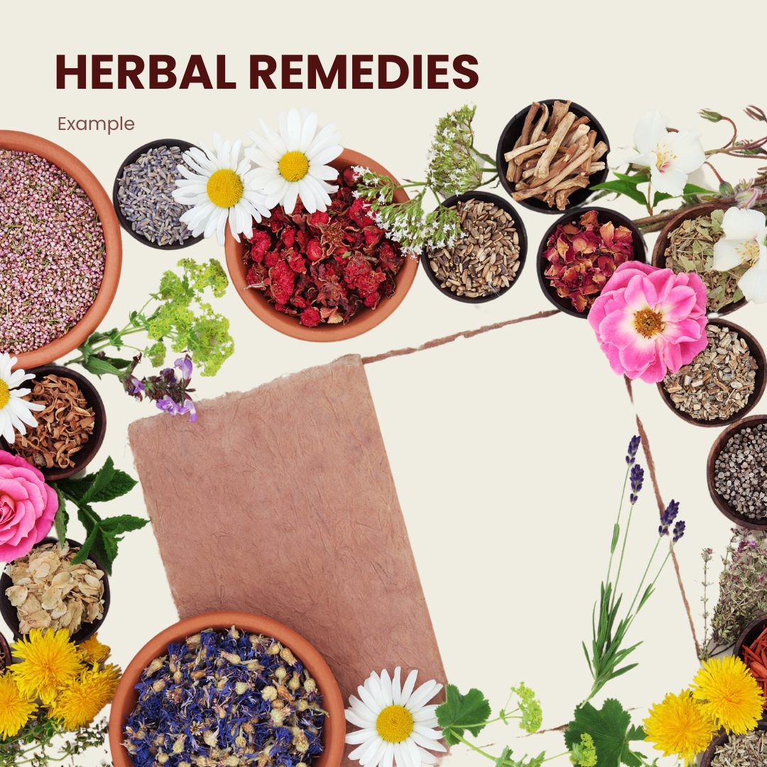 Herbal Remedies Workshop