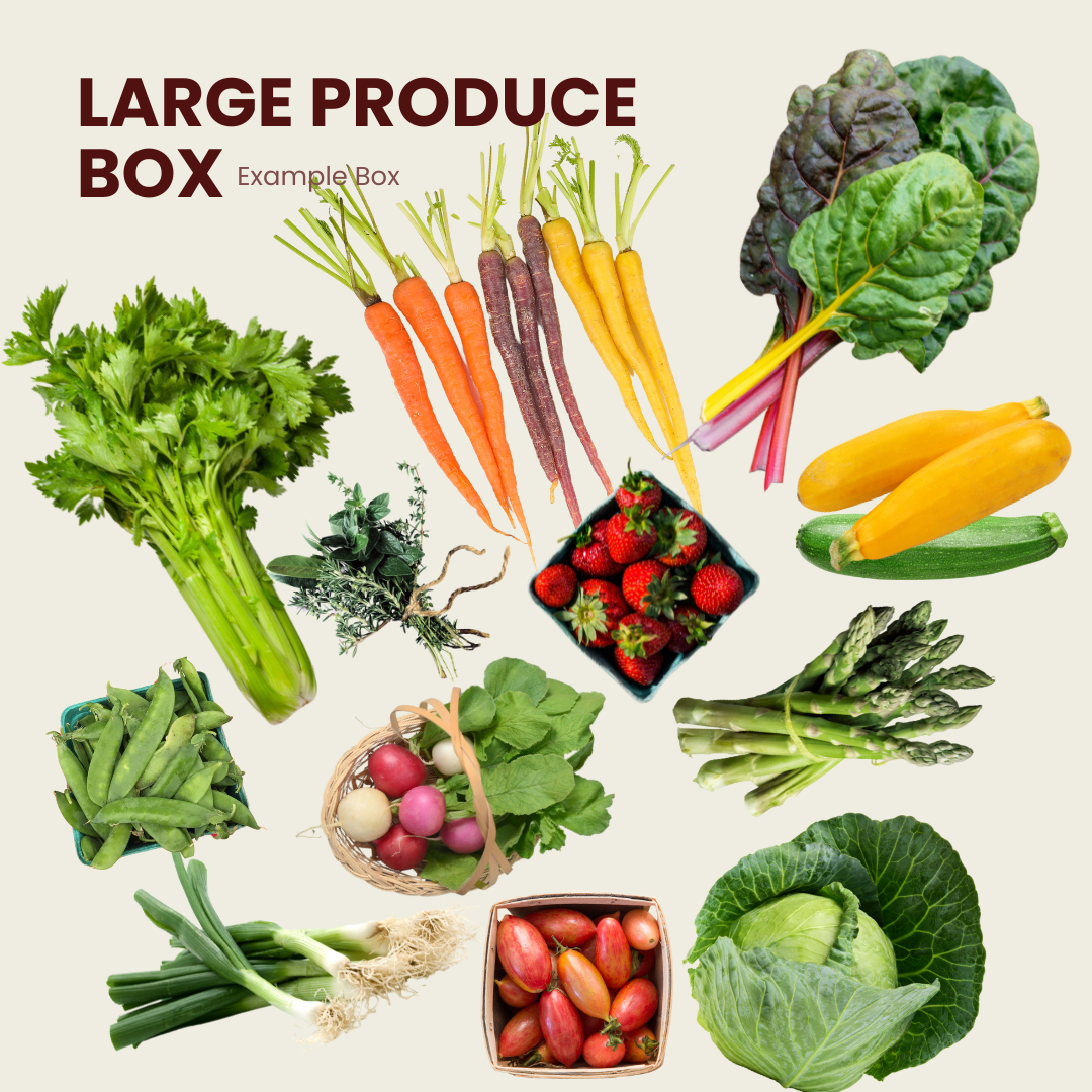 Large Produce Box: