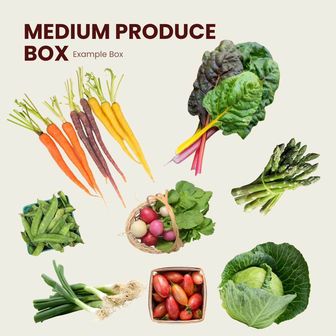Medium Produce Box: